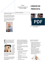 Triptico Cancer de Prostata