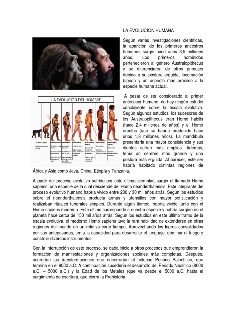 La Evolucion Humana | PDF | Homo | Evolución humana