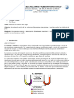 Osmosis n3