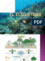 El Ecosistema
