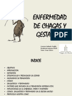 e-chagas-121024053304-phpapp01