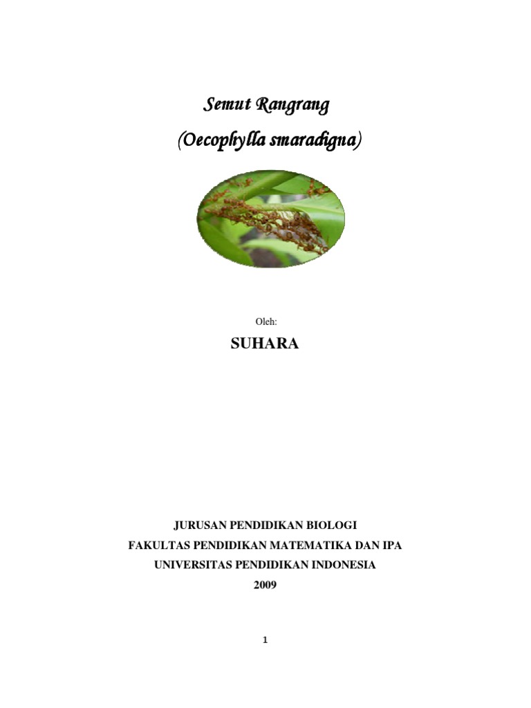 Semut Rangrang PPT Entomologi | PDF