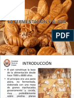 Historia y proceso del pan