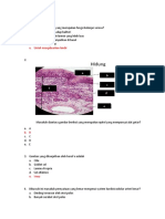 Soal Histologi