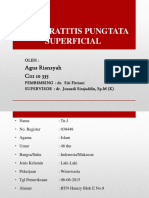 Keratitis Pungtata Superfisial