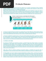 Evolução Humana