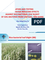 Thesis Presentation - ISOLATION AND TESTING FOR THE DISEASE-REDUCING EFFECTS AGAINST RICE BACTERIAL LEAF BLIGHT OF SOIL BACTERIA FROM CHỢ GẠO, TIỀN GIANG