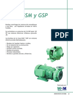 GSM y GSP PDF