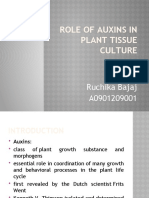 Role of Auxins in Plant Tissue Culture