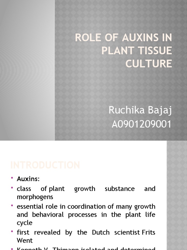 Role of Auxins in Plant Tissue Culture | PDF | Auxin | Plants