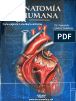 tratado_anatomia_humana_tomo2_rinconmedico.net.pdf