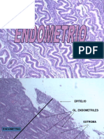 Endometrio