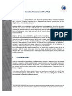 Guía Apv PDF