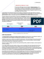 ELETTROTECNICA APPLICATA, Energia Solare e Fotovoltaico