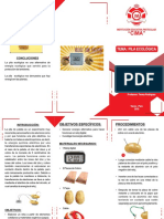 Proyecto de Ciencia (Luz)