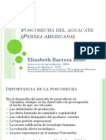 Clase Poscosecha Aguacate Completa