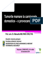 Tumorile Mamare La Carnivorele Domestice