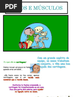 Sistema Locomotor (1)