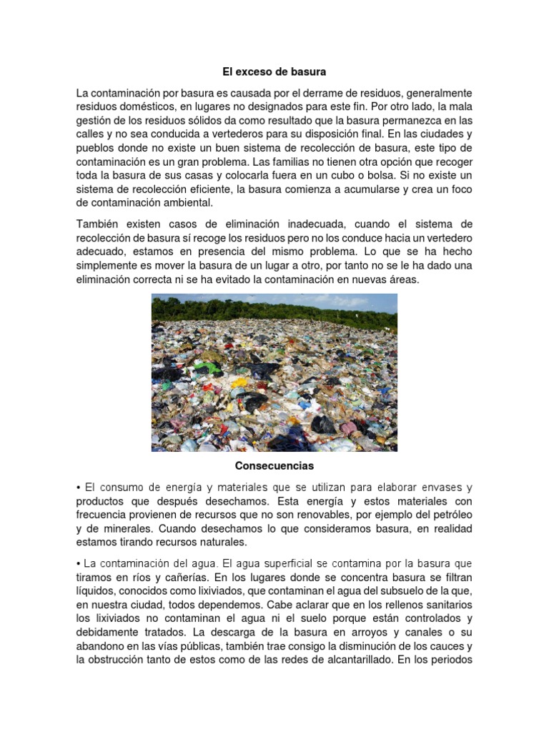 El Exceso de Basura | PDF | Residuos | Vertedero