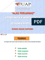 Tejido Epitelial