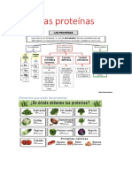 Las Proteínas