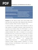 La regeneración de las marismas de Rio Arillo.docx