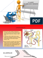 Ppt Glomerolus 