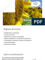 12 - CT Biología Floral (Devoto)