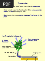 4 Transpiration