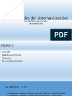 Unidad i ,Generalidades Del Sistema Digestivo, Clase 1.
