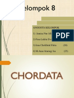 Chordata