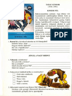 Olvasónapló - TATAY SÁNDOR - Kinizsi Pál 3o PDF