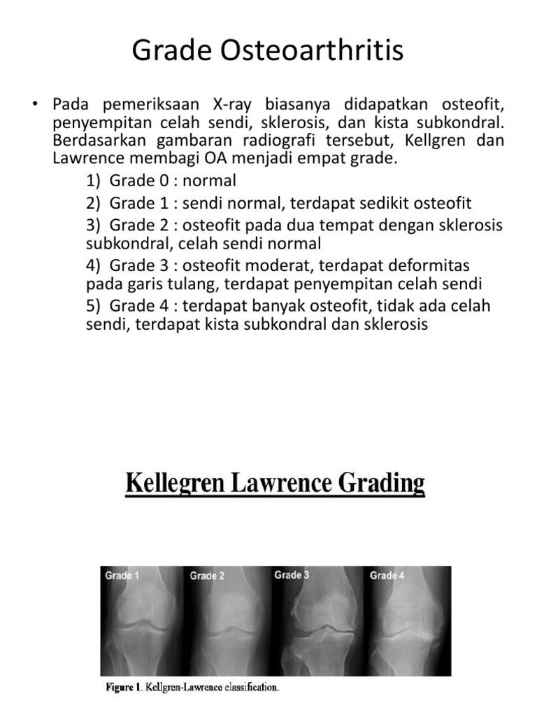 Oa | PDF | Sains & Matematika