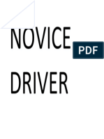 Novice Driver