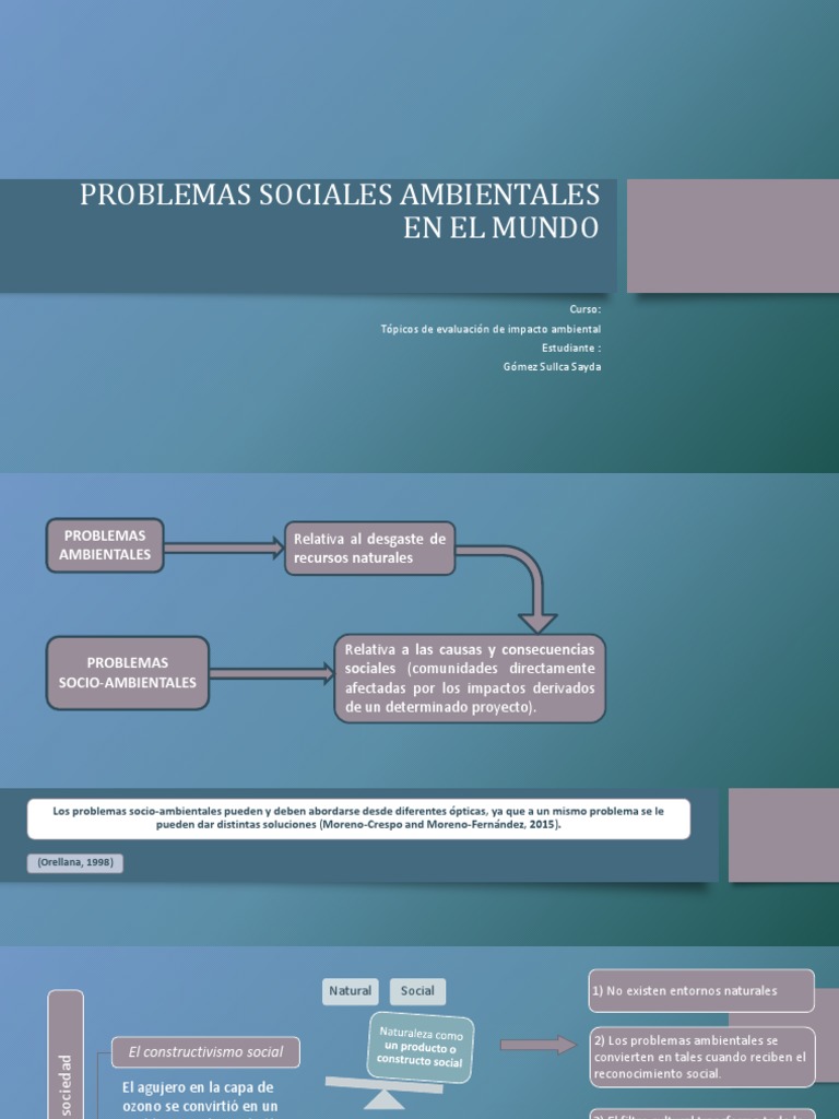 Actividades sobre problemas ambientales | PDF | Residuos | Deforestación
