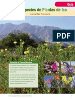 Plantas_de_Ica_ed2_sec2_lr.pdf