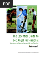 Download Bet Angel Reference Guide by Bet Angel SN38417297 doc pdf