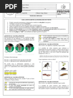 4º Ano Prova Ciencias - 2 Bimestre