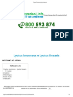 Lyctus Brunneus e Lyctus Linearis