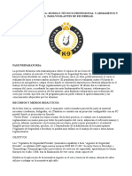 Memoria_pedagogica_armamento_tiro_tecnico_profesional.pdf
