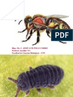 7 PDF