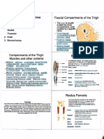 bone chemistry