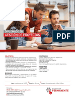 Flyer Gestion de Proyectos PDF