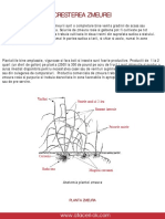 Cresterea zmeurei.pdf