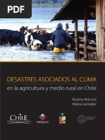 Desastre en Queule