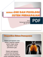 anatomi (SP).pptx