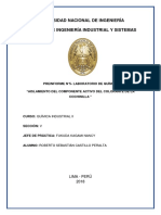 5 Preinforme Quimica Indsurial 2