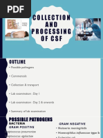 Collection and Processing of CSF