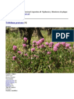 Sistema Nacional Argentino de Vigilancia y Monitoreo de Plagas - Trifolium Pratense - 2015-12-02