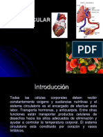 Aparato Cardiovascular (a y F)